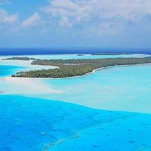 Meet your Posher, Jo Go